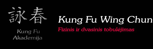 Kungfu Akademija